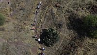 Campo vacío.mp4