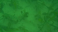 DSCN0071.MOV