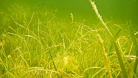 DSCN5497.MOV