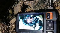 WI005 0102 Tliltocatl schroederi.mov
