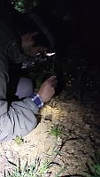 WI005 0099 Tliltocatl schroederi.mov