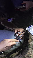 WI005 0098 Tliltocatl schroederi.mov