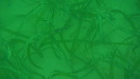 DSCN0064.MOV