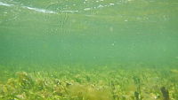 DSCN5291.MOV
