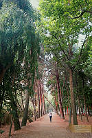 37_cargarcia (1).jpg