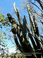 LI005 0157 Stenocereus thurberi.jpg