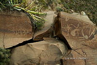 3R 01271 Boca de Potrerillos petroglifos.jpg