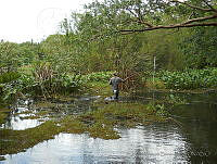JVB0051 La Mancha, Veracruz.jpg