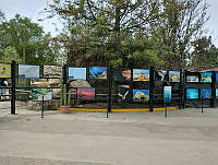 Exposición zoológicos 8 Exposición en los zoológicos.jpg