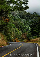 FBA1481 Paisaje en Oaxaca.jpg