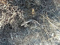 VR001 08 Santiago Tlacotepec.jpg