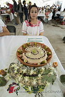 IMDOC3363 Gelatina de garambullo.JPG