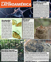 Notas Latam CF_10.pdf