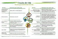 tablaServicios.jpg