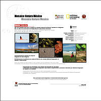 MosaicoNaturaMexico.jpg