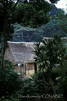 DK1851 Yogope, Oaxaca.jpg