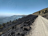 XR004 0005 Incendio forestal.jpg
