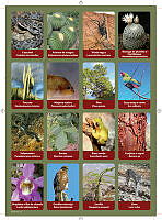 planilla10.pdf