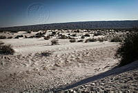 FBA0212 Cuatro Ciénegas, Coahuila.jpg