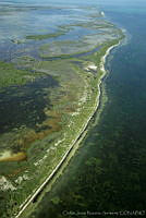 CNS1048 Yum Balam, Quintana Roo.jpg