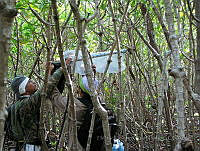 HEON003 Tenabo, Campeche.jpg