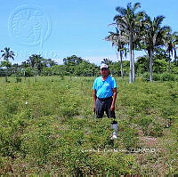 RG055 0144 Diversidad Agroalimentaria.JPG