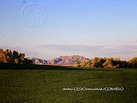 NBA0105 Puerto Peñasco, Sonora.JPG