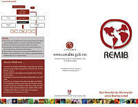 remib-frente-final-baja.pdf