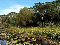 JMDG012 La Mancha, Veracruz.jpg