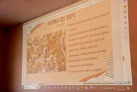 0Q0A8145 Taller de plantas medicinales.jpg
