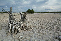 IMDOC1904 Yucatán, México.jpg