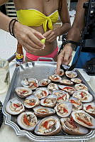 CNS1098 Megapitaria aurantiaca.jpg