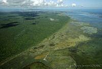 CNS1046 Yum Balam, Quintana Roo.jpg