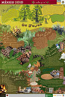 TEPEHUANOS pinos.jpg