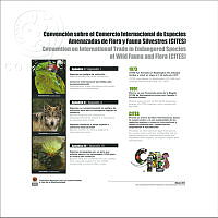 CITES_1de3.jpg