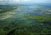 CNS1047 Yum Balam, Quintana Roo.jpg