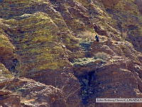 JAH012 Chihuahua, México.tif