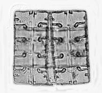 NE002 0099 Terpsinoë musica.jpg