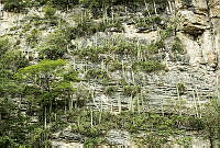 IAPO01 Tuxtla Gutiérrez, Chiapas.jpg