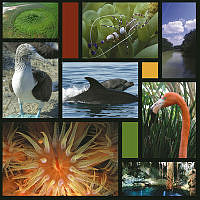 Mares y costas 6 copy.JPG