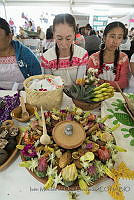 IMDOC3311 Agave.JPG