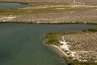 CNS0093 Bahía Magdalena, Baja California Sur.jpg
