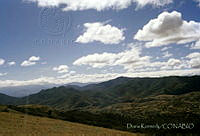 DK0916 Zimatlán, Oaxaca.jpg