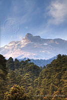 IMDOC0372 Parque Nacional Iztaccíhuatl-Popocatépetl, Estado de México.jpg