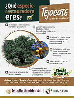 6. Tejocote.png