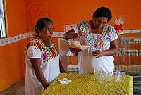 CD0312 Melipona sp..jpg