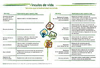 tablaServicios.jpg
