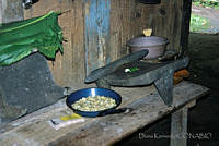 DK2384 Xicotepec, Puebla.jpg