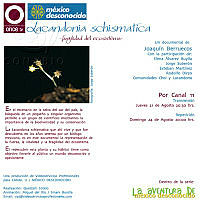 lacandonia-tv.jpg