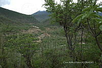 CAR 0043 Reserva de la Biósfera Tehuacán-Cuicatlán.jpg